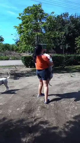 Mara 🐶🤎 @Rocio Romero  #inquieta  #paratiiiiiiiiiiiiiiiiiiiiiiiiiiiiii  #perrita 