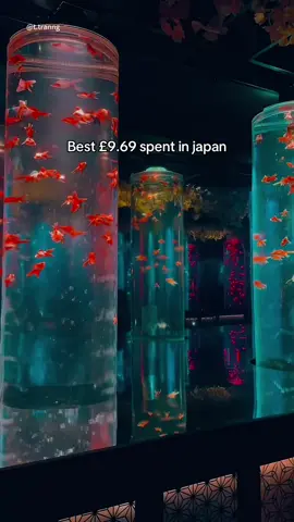 📍Art Aquarium Museum, Japan🤯🐟🎣🍣🗼#tokyo #japan #ginza #goldfish #art #museum