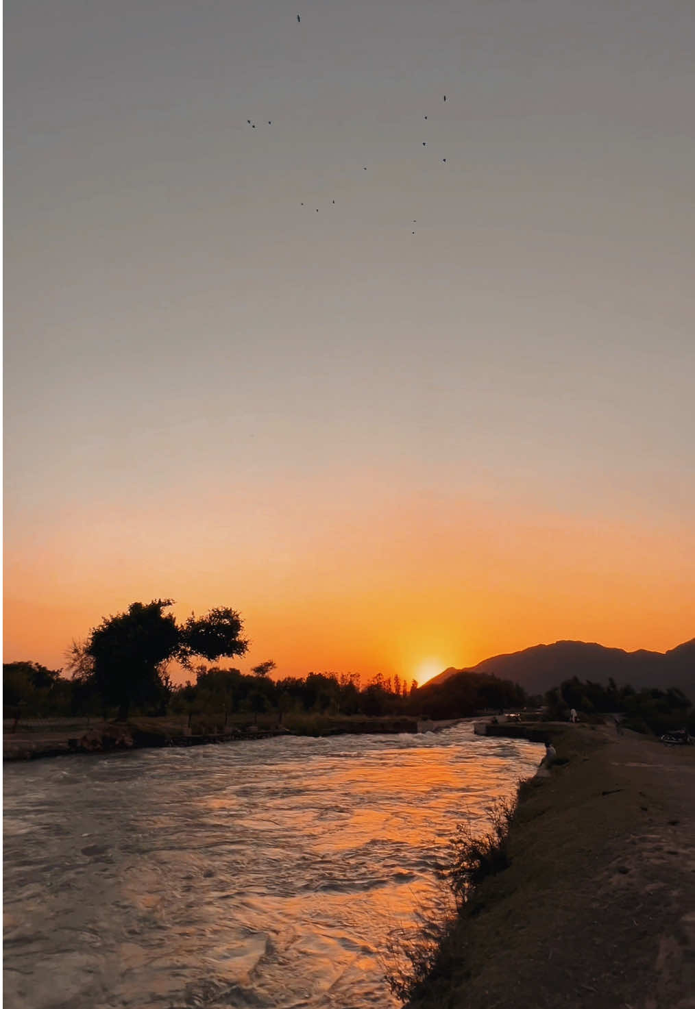 یاره تر سو به سړې ستا په بیروخې جاړې - #welovetosmile #naturalvibes #forupage #villegelife #layseverywhere #newaccount #foryoupagе #foryou #zamawatanlundkhwer #fyppppppppppppppppppppppp @Hanan 🕊️ 