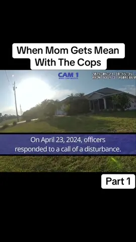 #CapCut #cops #police #policeofficer #copscame #copsoftiktok 