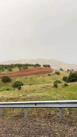 سفره والجو مطر ماشالله ❤️اللهم اسقينا الغيث ❤️#دةربةنديخان💙 