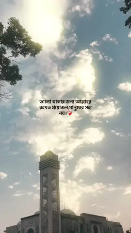 ভালো থাকার জন্য আল্লাহর রহমত প্রয়োজন মানুষের সঙ্গ নয়। ❤️‍🩹#viral #foryou #views #foryoypage #islamic_video #islam #idfreezed #tranding 