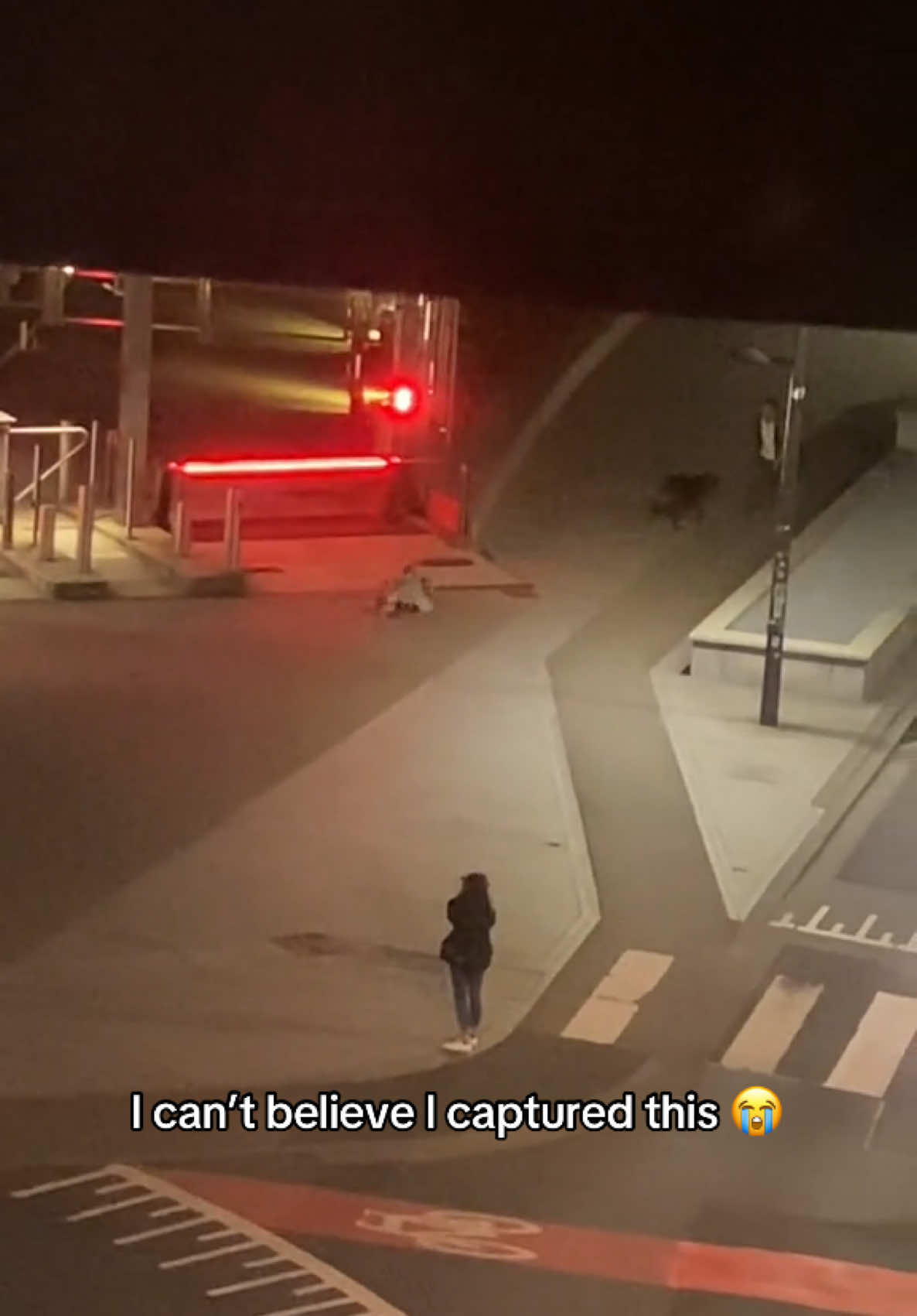 Why's she running so dramatically 😭 (@Helin Erdem) #dog #dogsoftiktok #cute #funny #comedy #relatable #hoest 