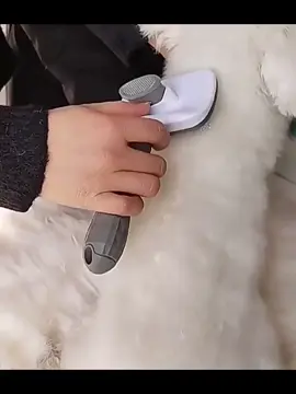 Dog Hair Removal Brush Dog Hair Grooming Comb For Long Hair Dog Pet Remove Hair Bath Brush Cleaning Dog Supplies #foryoupage #product #viral_video #business #foryoupage❤️❤️ #doghairremoval
