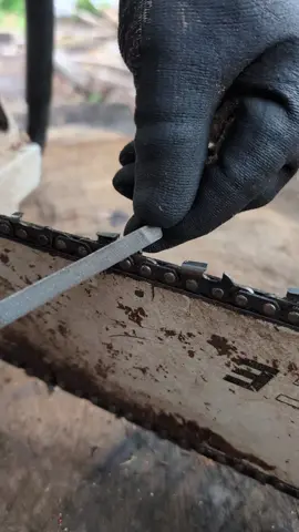 Bajando guía a cadena de motosierra #woodworking #stihl #wood #woodwork 