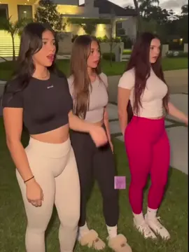 ._. xd 