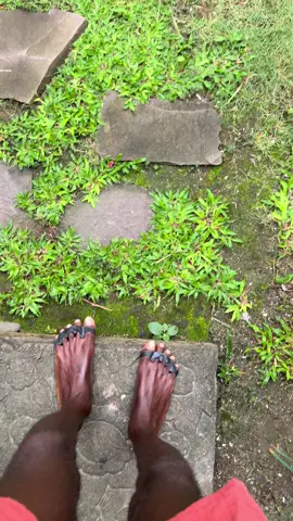 Start your day by slipping on toe separators and stepping barefoot onto the earth. This simple grounding ritual realigns your posture, stretches tight foot muscles, and restores natural foot function. With each step, you strengthen your foundation and support lifelong foot health. 🌻🦶 #freeyoursoles #plantarfasciitis #barefoot #FootPain #toeseparators #grounding 