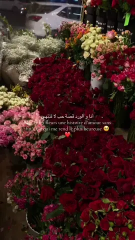 #flowers #lovelanguage #fleur #قصة_حب #لاتنتهي #fyppp #duo #حب #fyp #flowershower #ورود #الورد 