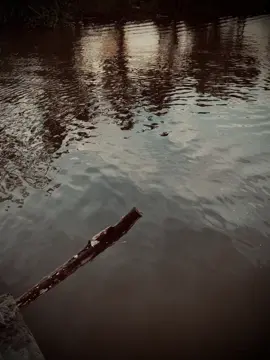 无论走多远的路，也不要忘记家的方向。Dù đi xa đến đâu, đừng quên hướng về nhà.