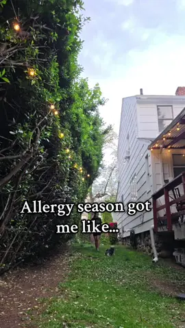 Allergies are rough this year!!! 🤘🏻🤧🫠🖤 #allergies #allergyseason #sneezing #allergic #metalhead #metalcore #metaltok #bleh #metalmusic #fyp #relateable #yorkie #playtime #spring #springtok 