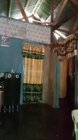 pelampiasan 🤣🤣 #tiktokviral #pengikut 