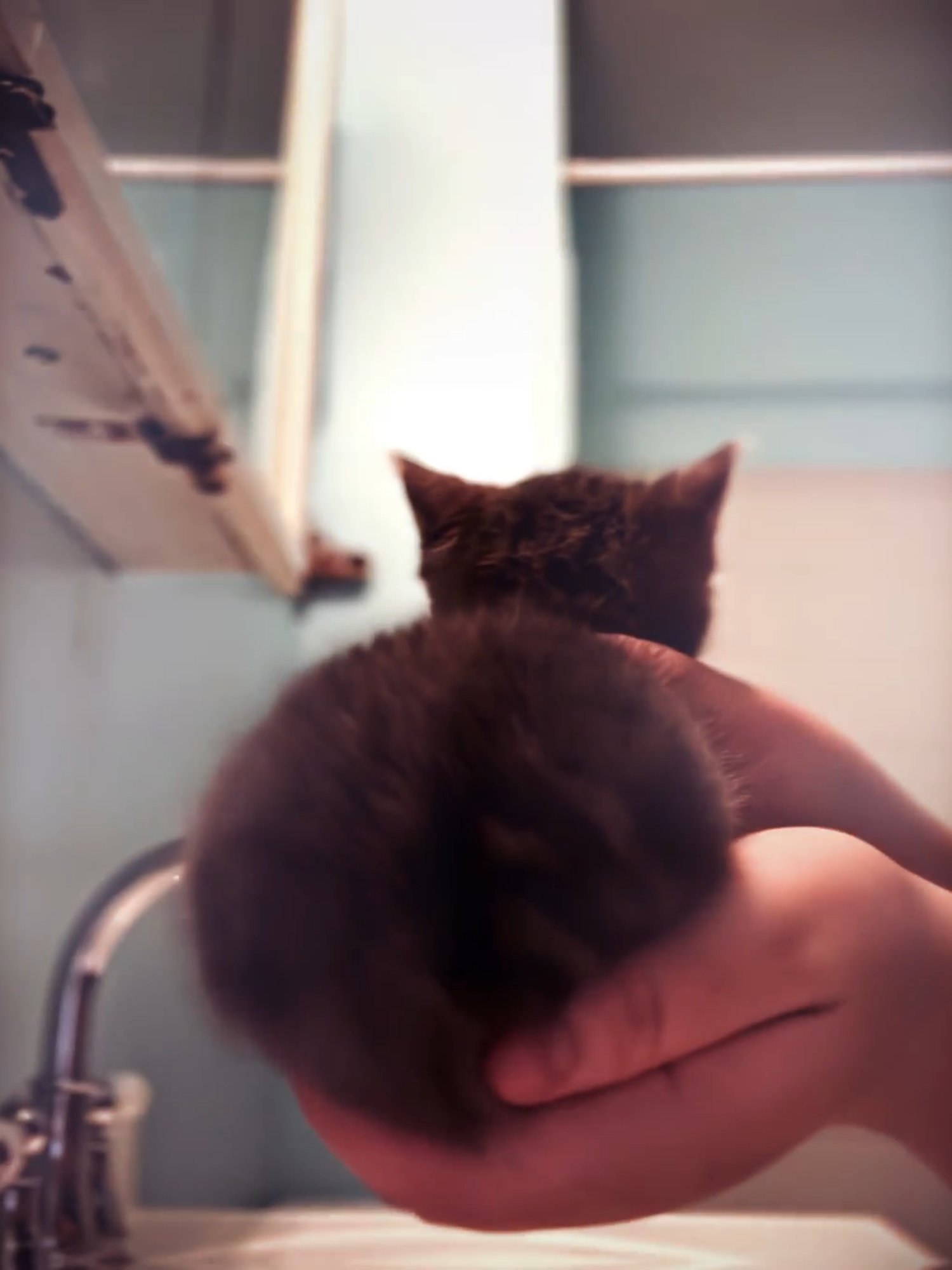 car shaking it just for you ❤ | ac: @teddy.mp4 #xuvsp #cat #catdance #newtrend? #ae #✨ #fypシ゚virall