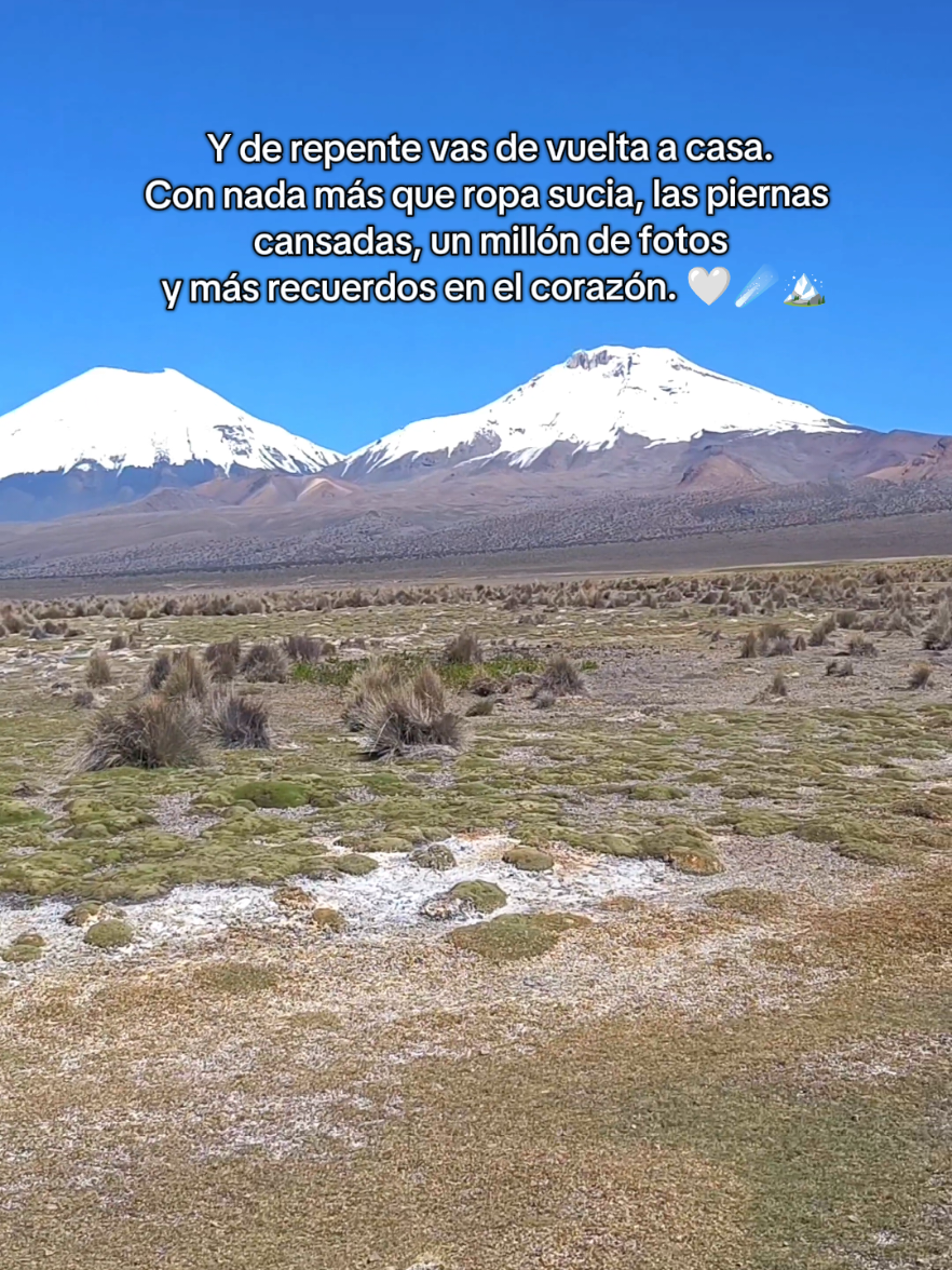 Amo cuando la vida suena así 🏔️🍃✨  y más aún cuando es con amigos 🫶🏻  @andytogu @RodriBalCrespo @leo @Pablo Garcia Davis  #parquenacionalsajama #sajama #Hiking #trekking #fyp #hike #friends #camping #mountainlife 