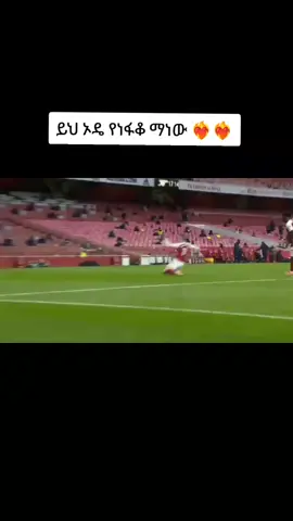 #አርሰናል #ethiopian_tik_tok🇪🇹🇪🇹🇪🇹🇪🇹 #አርሰናል_ብቻ_ሁሌም_የማልደራደርበ💞😘👑🙌 