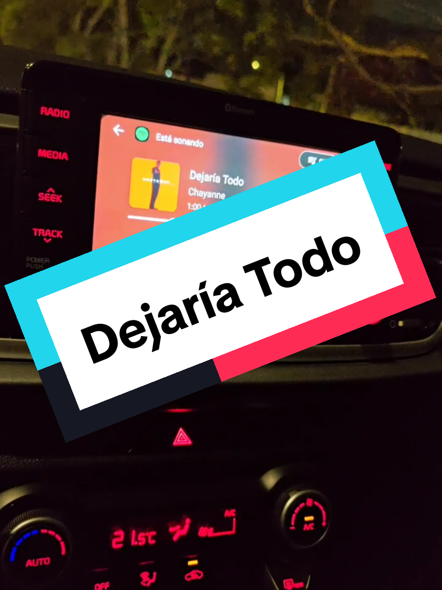 #dejariatodo #chayanne 
