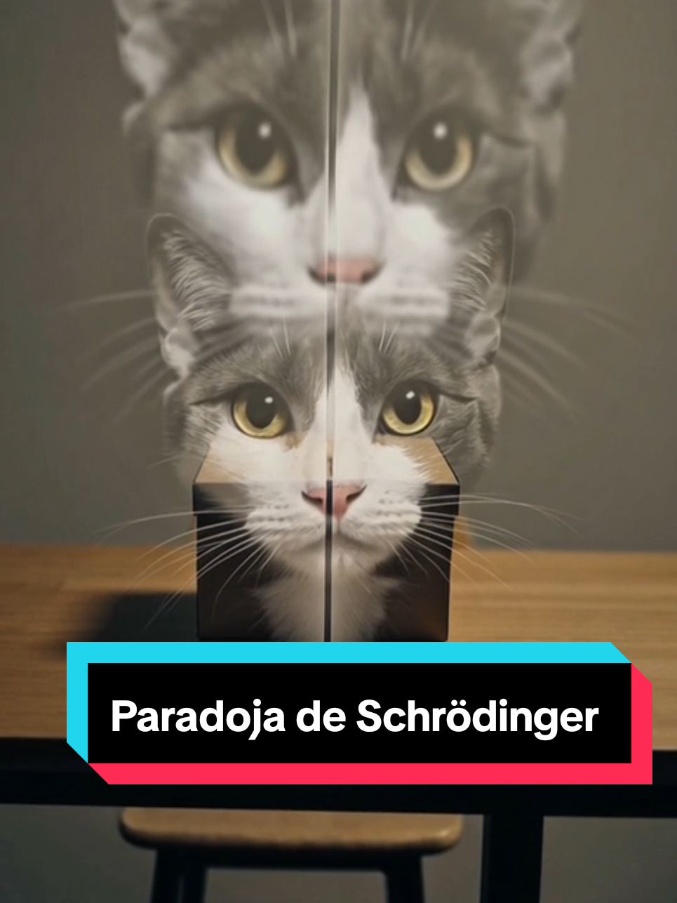 ¿Puede un gato estar vivo y muerto al mismo tiempo? ¿Qué es la paradoja de Schrödinger? #creatorsearchinsights #GatoDeSchrödinger #FísicaCuántica #CienciaExplicada #AprendeEnTikTok #MenteExplota 