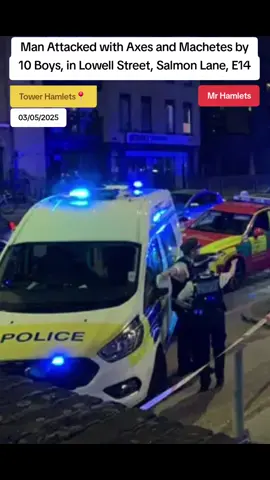 Man Attacked with Axes and Machetes by 10 Boys, in Lowell Street, Salmon Lane, E14 #mrhamlets #towerhamlets #lowellstreet #salmonlane #tiktoknews 