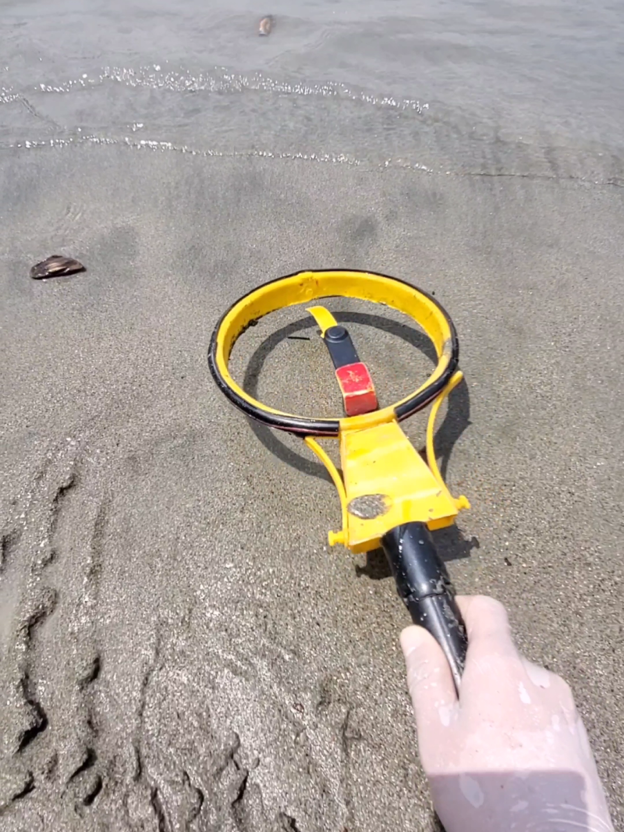 today found Rolex watch ⌚️ #treasure #metaldetecting #sound #viralvideo 