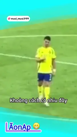 không biết nói gì luôn 🤭@🎼🌸Muội-.-Muội-.-🌸🎼 @Tiểu Tặc 😙 @Vân @Hoa cỏ dại 87 
