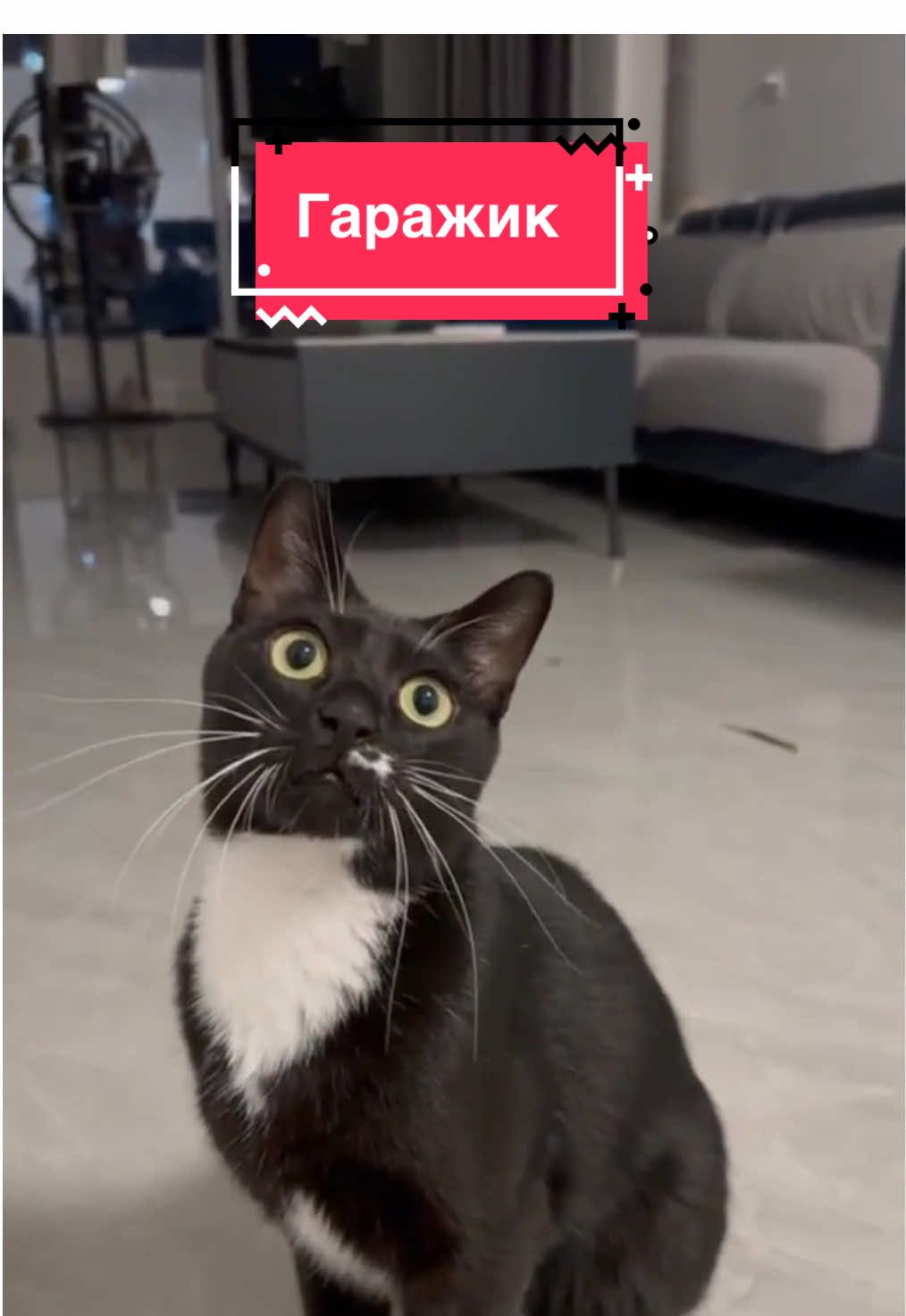 Вайб Гаражика 🤌 #zubarefff #популярное #зубаревалександр #рекомендации 