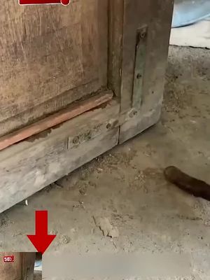 katrol bawah pintu ini sangat berguna dan nyaman, direkomendasikan