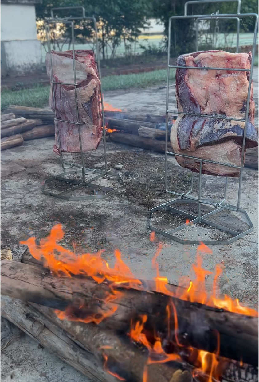 #churrasco#viral_video #modao #tiktokviral #costela #brutos #agro #brunoemarrone 