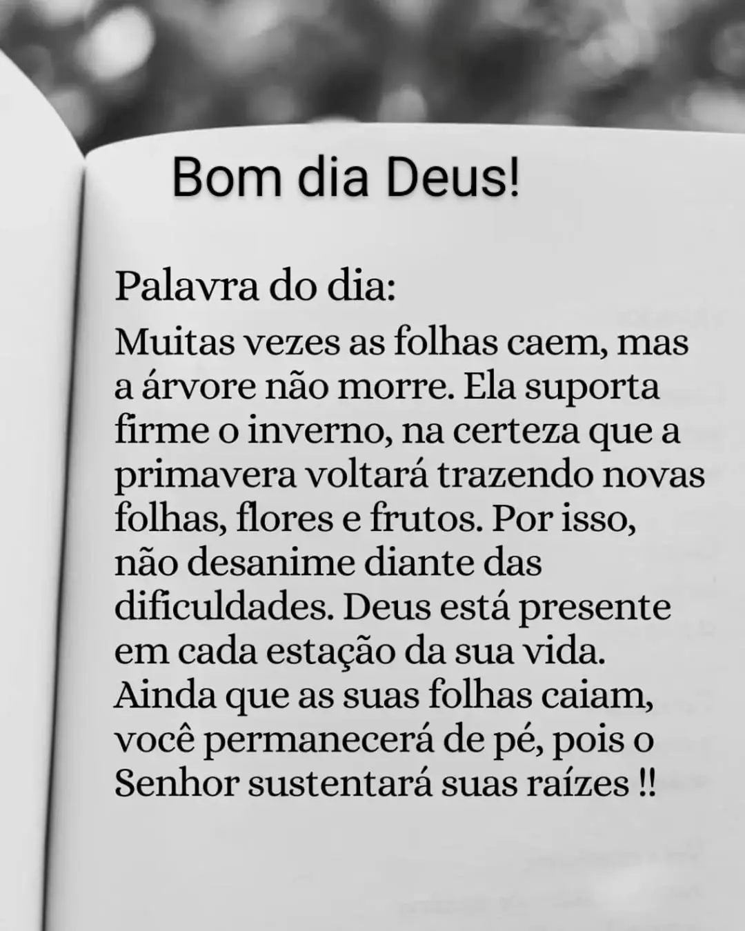 #confie #em #Deus #sempre 🙏🏻🙏🏻🙏🏻