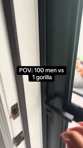 That stuff gotta be fake right 😅🥴 @callmeCollins.h.d.c #gorilla #men #couples #comedyvideo #husbandwife #marriagehumor #couplescomedy #manvswild 
