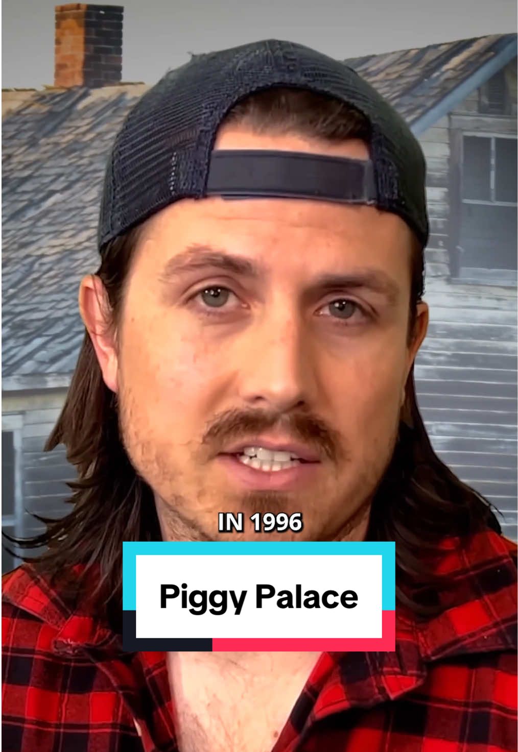 Piggy Palace