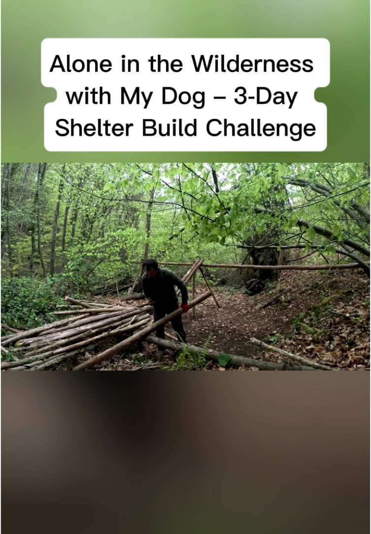 Alone in the Wilderness with My Dog – 3-Day Shelter Build Challenge#campinglife #camping 