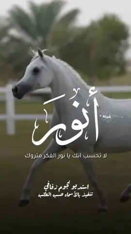 شيلة باسم انور 2025 شيلة مدح انور #استديو_نجوم_زفافي #لطلب_الشيلات_0505336824 #السعودية #الكويت #قطر  #تصميم_فيديوهات🎶🎤🎬تصميمي🔥 #تصميم_اسماء_حسب_الطلب #شيلة_باسم_انور #شيلة_انور #انور