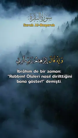 Bakara suresi #قران_كريم #quran 
