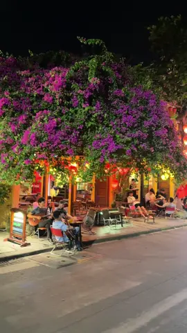 Phố cổ Hội An về đêm#hoian#hoiantrip#2025#xh#nghile30_41_5