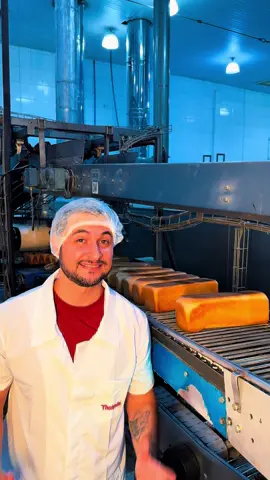 Fomos conhecer o processo de fabricação dos pães da @thabrulai uma empresa genuinamente blumenauense com mais de 30 anos e que fábrica aproximadamente 110 mil pães por dia 😱 E como o blumenauense gosta de pão não é mesmo 🤤 A Thabrulai vai crescer ainda mais e está com oportunidades abertas para produção, comercial e logística. Se você ficou interessado, cadastre seu currículo no site deles! Siga o @blumencast para continuar conhecendo o processo de fabricação das principais indústrias da nossa região 🥰 #blumenau #thabrulai #fabricadepao #fabricadepaes #industriadepao #industriadepaes #panificação #panificaçãoindustrial #empresasblumenau #industriasblumenau 