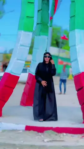 Ceerigaaabo Hoooyo.🖤  @Suldaan laxamayste 🦁 @@Sakhira🤍👩   #ceerigaabo_sanaag_somaliland 💚🤍❤️