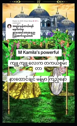 Replying to @AYE Chan Moe🇯🇵🇯🇵 #fyp #foryou #mkamilatarot #ကျူ့ကျူ့ 