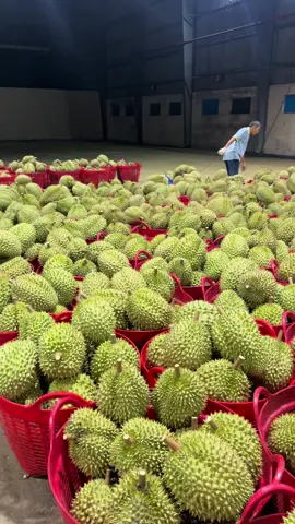 Long khánh vô mùa rồi ta 😅