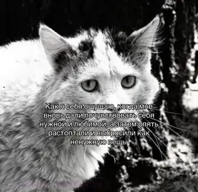 порочный круг #щп #щитпост   