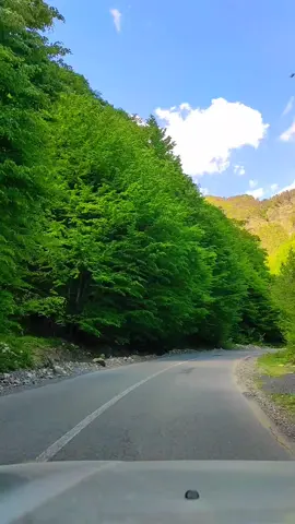 bəh bəh 🎶😍  #keşfet #keşfetteyizzz  #Love 