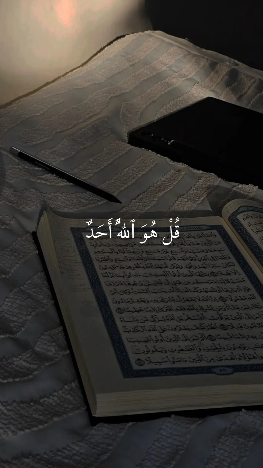 #سورة الاخلاص مشاري العفاسي #قرآن #فارس_عباد #قرآن #قرآن_كريم #تلاوة_خشعة