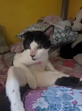 #fypシ゚ 