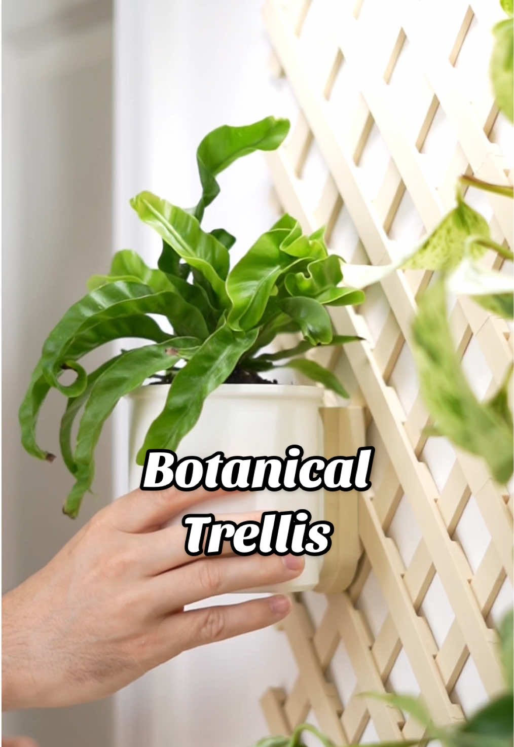What should i add to trellis next? . Planters made in collaboration with @Lofted Goods  . #3dprinting #plants #plantsoftiktok 
