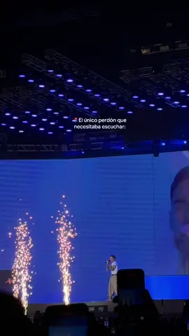 Lo que todos merecíamos escuchar en su momento❤️‍🩹 #relsb #peru🇵🇪 #flypシ #concierto2025 #skinnyflak 
