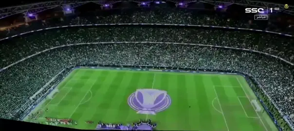 الاهلي بطل لدوري ابطال اسيا