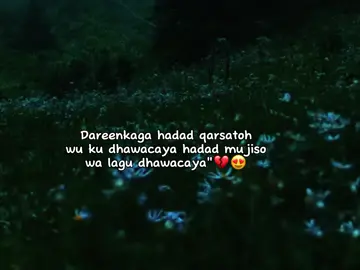 😍💔#fypシ゚ #foryoupage #muqdishotiktok #fyp #viralvideos #viewsproblem #viewsxumo💔 