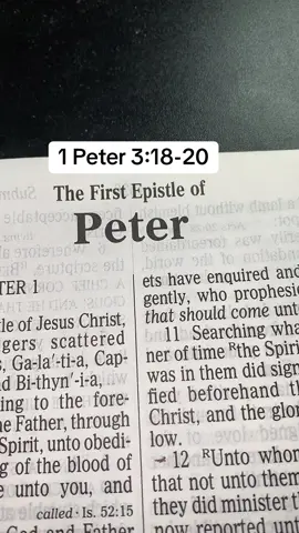 📖1Peter3:18-20📖#Jesus #ScriptureReading #Christ #Messiah #TheSonOfDavid #Grace #Mercy #Word #Truth #Bible #Scripture #ForYourPage #ForYou #FYP #Christian #christiantiktok #Wisdom #Knowledge #Understanding #Faith #Love #God