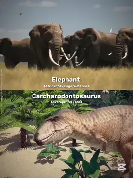 Carcharodontosaurus vs Elephant #elephant #carcharodontosaurus #carcha #animal #dinosaur #debates #Carcharodontosaurusvselephat 