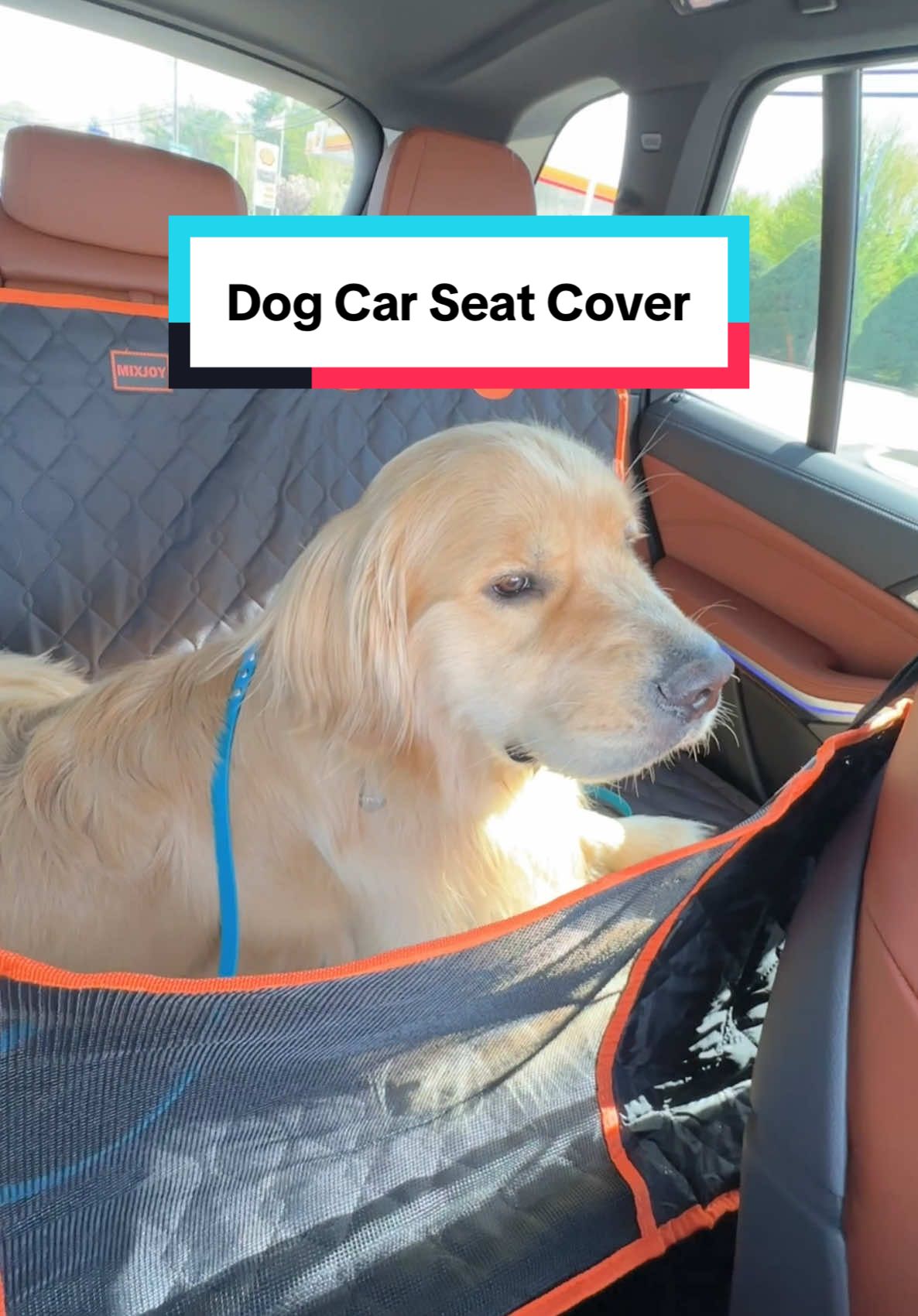 This hard bottom seat cover has been a lifesaver for Fergus in the car. Now we can take him everywhere with us #carseatcover #dogcarseat #travelwithdogs #mixjoyshop #mixjoy 