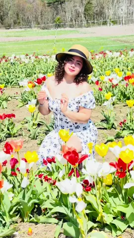 #🌷#💗#tulipseason#✨ 