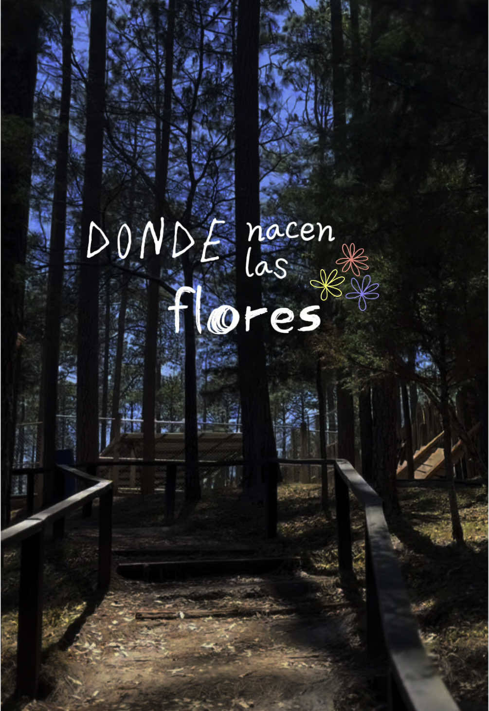 La canción lo dice todo…✨🫶🏼 #paisaje #aventuras #zoe #lyrics #méxico 